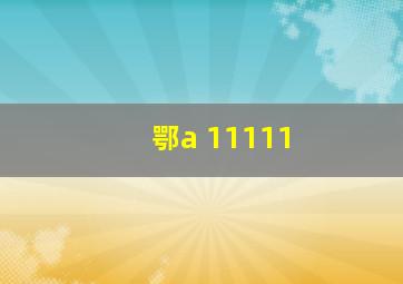 鄂a 11111